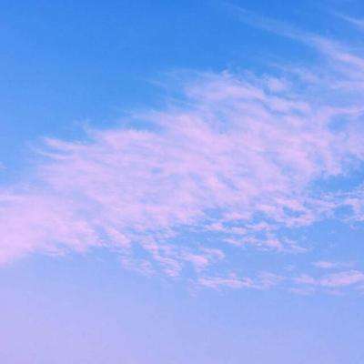 乐鱼官网手机版