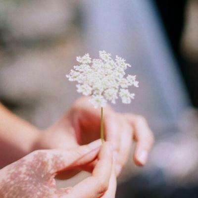 星空体育在线网页版